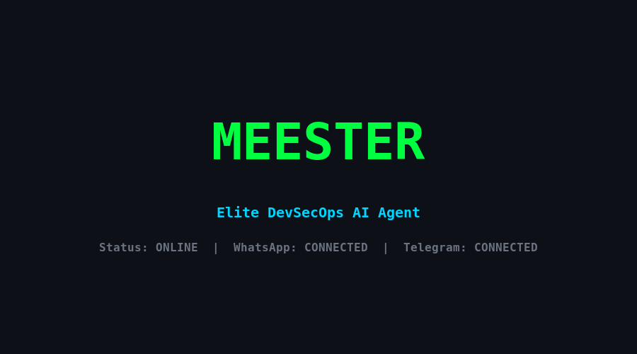 MeesteR CLI Banner
